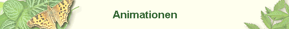 Animationen
