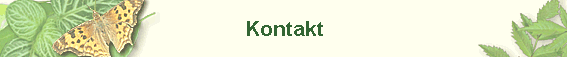 Kontakt