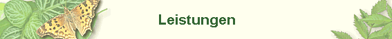 Leistungen