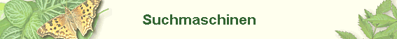 Suchmaschinen