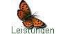 Leistungen