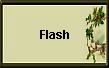 Flash